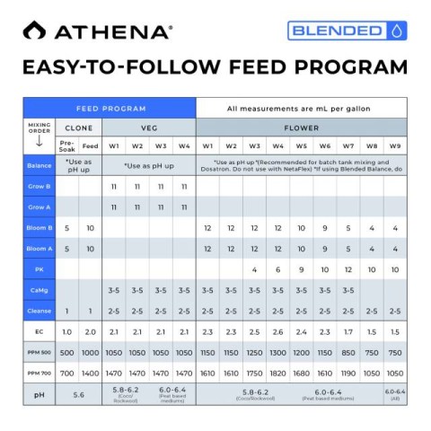 athena blended starter kit-3